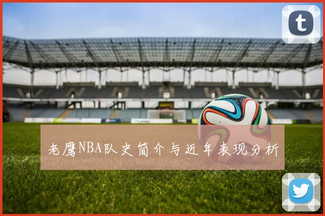 老鹰NBA队史简介与近年表现分析