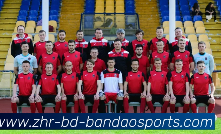 半岛体育平台生态图