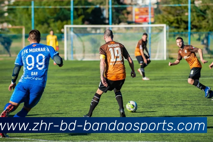 半岛体育全站App